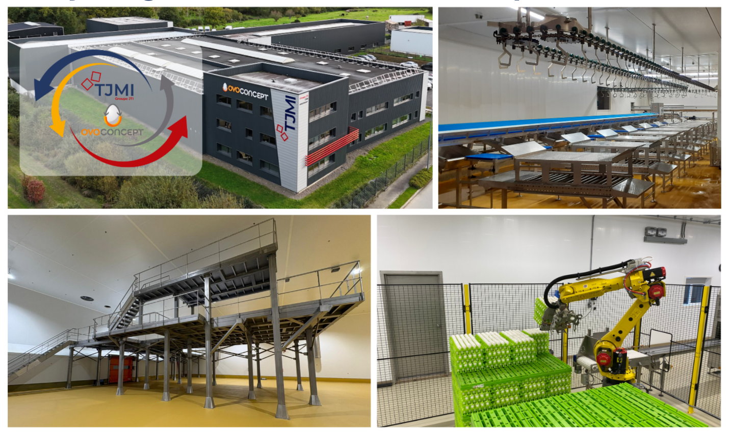 synergie tjmi ovoconcept