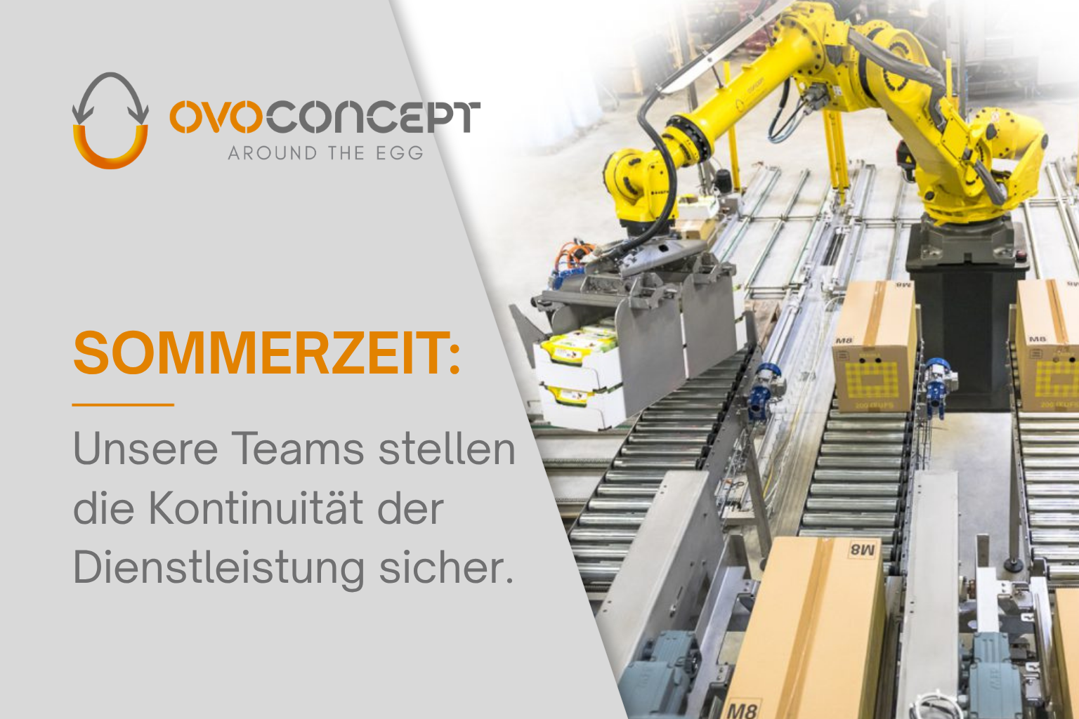 OVOCONCEPT Sommersaison