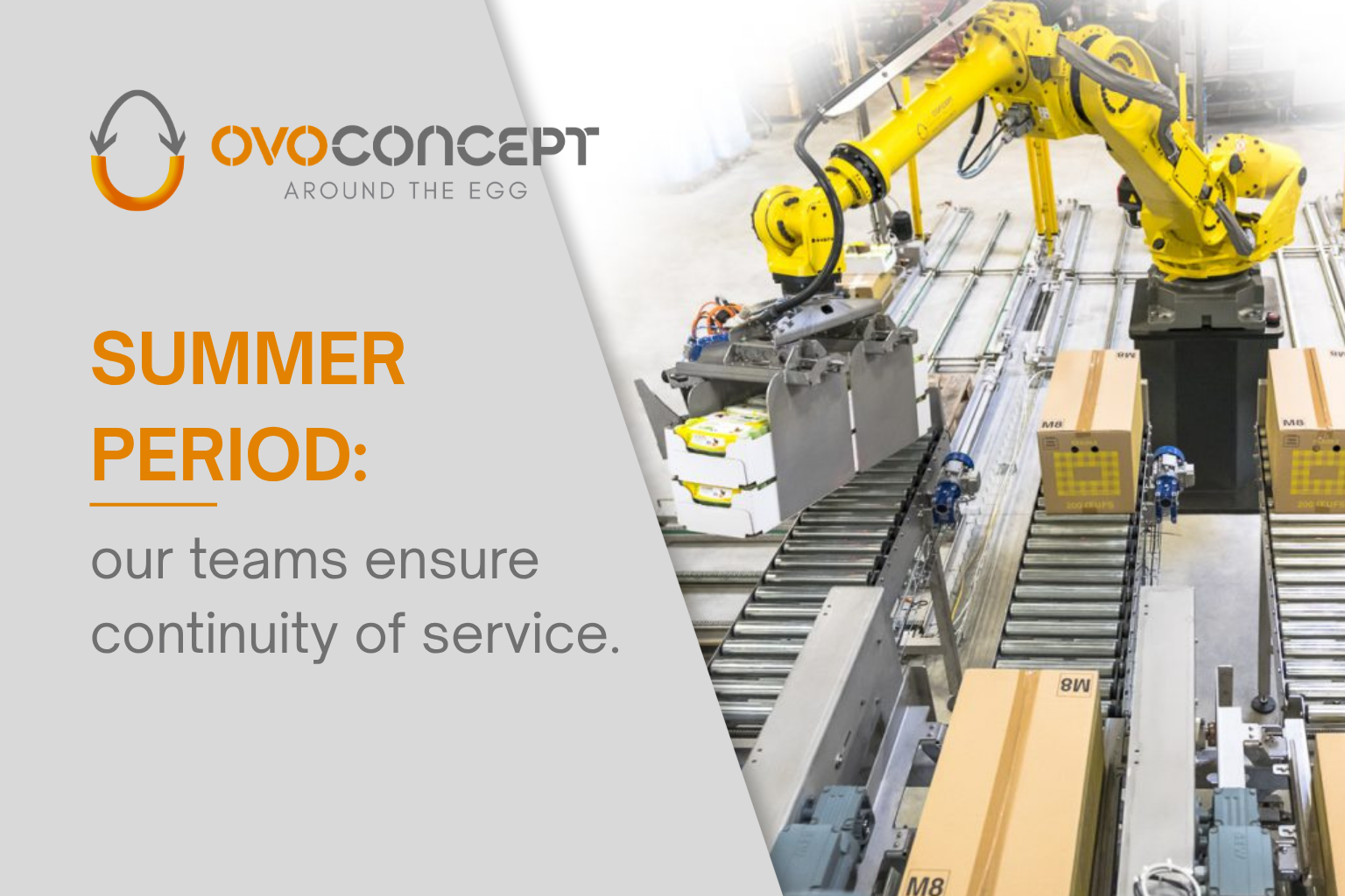 OVOCONCEPT summer period