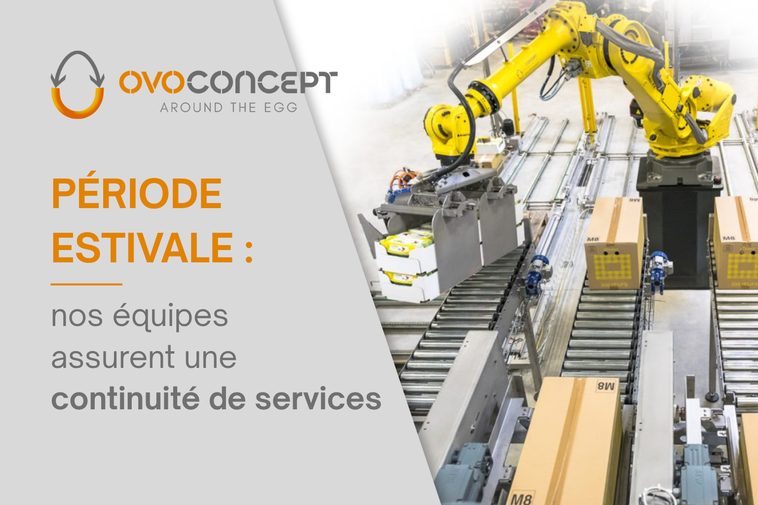 OVOCONCEPT période estivale